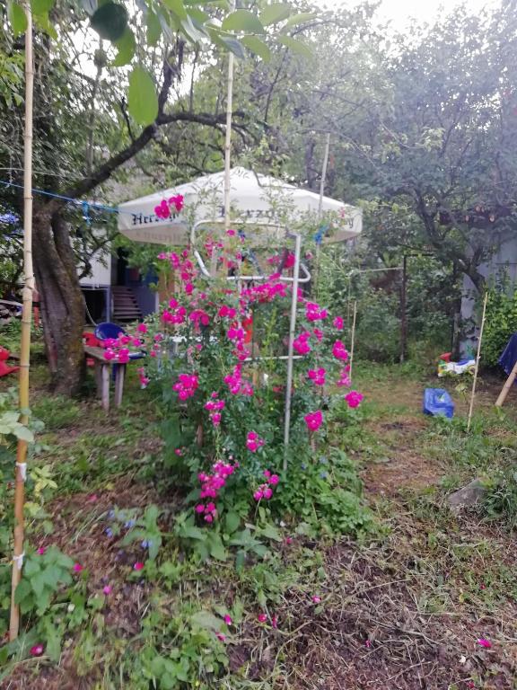 tbilisi kyrort manglisi room 4